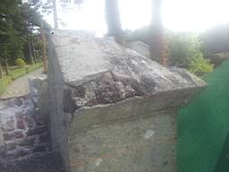 castlepark gate - 11375.jpg